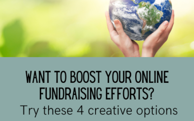 Want to Boost Your Online Fundraising Efforts? Try these 4 creative options